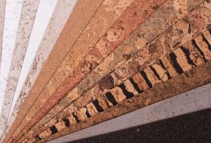 Kamštinė sienų danga