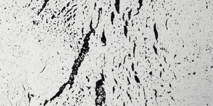 Sieninė kamštiena  Europa Snow
