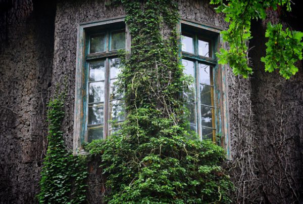 Unikalūs kamštiniai rūmai Lenkijoje
